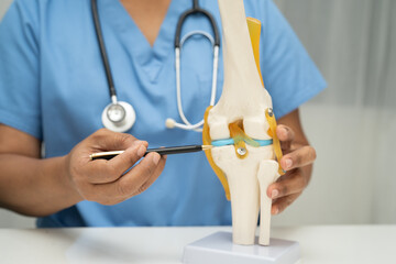 Asian doctor holding spinal nerve and bone model, Lumbar spine displaced herniated disc fragment...
