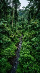 Verdant jungle stream. A narrow creek meanders through a lush, dense jungle filled with ferns, moss, and towering trees under an overcast sky