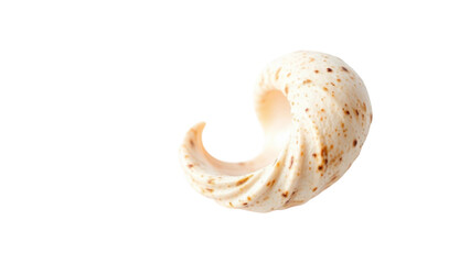 Elegant Swirl Shell A Natural Masterpiece of Spiral Design and Earthy Tones, Isolated on White