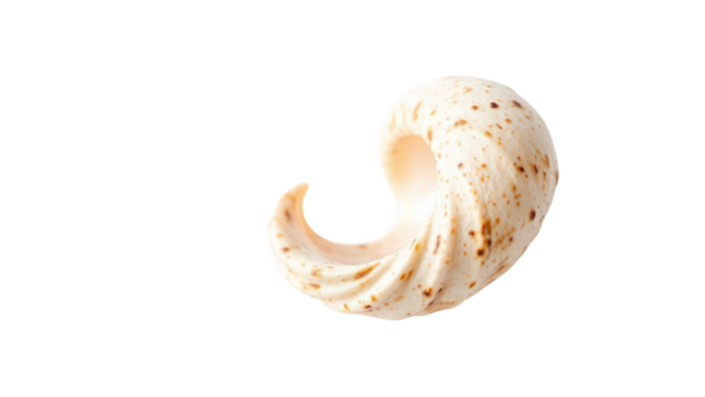 Elegant Swirl Shell A Natural Masterpiece of Spiral Design and Earthy Tones, Isolated on White