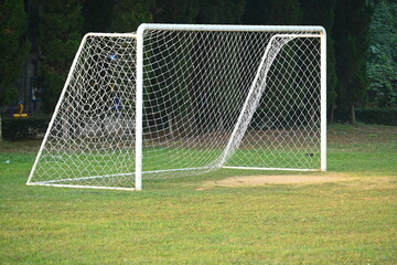 goal of football on green grass background, object of sport