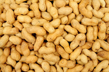 Roasted monkey nut peanuts in shells detail texture background