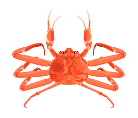 Red Crab Vector Illust Showing Symmetrical Body, Raised Claws, and Textured Shell with Vivid Coloration
左右対称の体と持ち上げたハサミ、質感のある甲羅と鮮やかな色彩を持つ赤いカニを描いたベクターイラスト