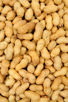 Roasted monkey nut peanuts in shells detail texture background