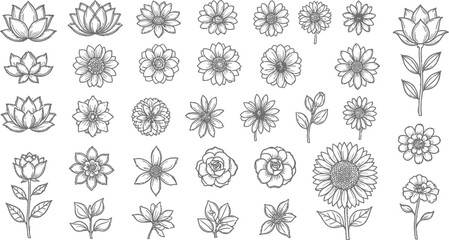 Elegant floral line art collection for modern designs and botanical illustrations, perfect for spring and summer