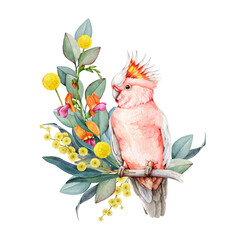 Pink cockatoo bird with floral decor hand drawn watercolor vintage style illustration. Australian parrot endemic wildlife bird with Australia wildflowers native flora decoration on white background