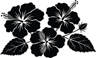 Elegant black hibiscus flowers and leaves create a stunning tropical design for your creative projects © muhammad