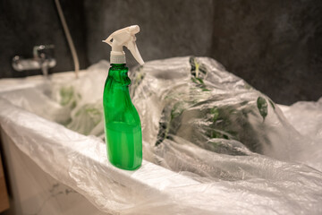 Treating houseplants with insecticide to kill spider mites. After spraying, cover plants with...