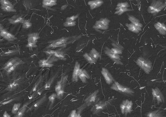 Abstract ink stains on textured paper background. Black and white grunge texture backdrop. Stain spot and scribbles graphic element for overlay design.