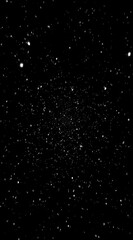 A night sky filled with many twinkling stars scattered across a deep black background. A bright, central cluster exists amid the field of starlight