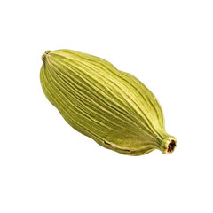 Close Up of a Single Green Cardamom Pod on a Black Background, Detailed View of the Spice's Texture and Shape, Aromatic Culinary Herb, Studio