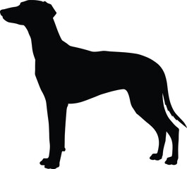 Black silhouette dog standing vector illustration, domestic pet animal design, canine artwork, loyal companion shape, graphic artwork, animal outline, decorative pet figure