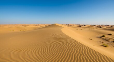 Desert sand dune landscape