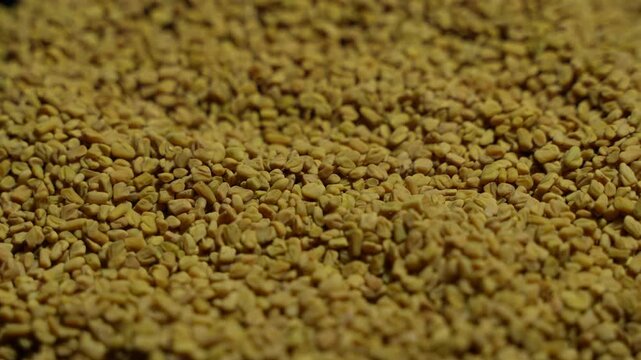 Fenugreek is a beneficial food for diabetes.