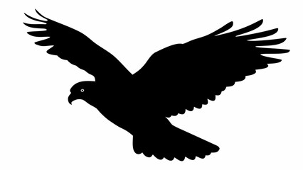 Obraz premium Silhouette image of a soaring bird with outstretched wings against a white background design element