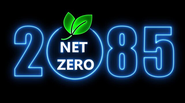 Net zero 2085 neon sign with green leaves on black background