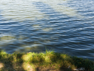 A body of water with grass growing out of the water