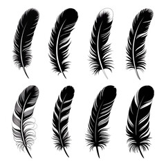 Eight Elegant Black and White Feathers; Detailed Line Art;  Dark Background;  Vector Illustration Set.
