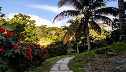 Fototapeta premium Lush tropical path through foliage