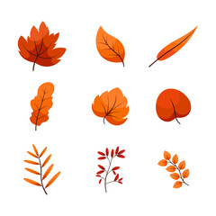 Autumn Leaves Vector Set in Orange and Red Colors