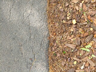Asphalt and Mulch Texture: A Study in Contrasts