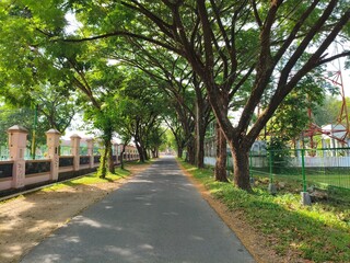 alley in the park