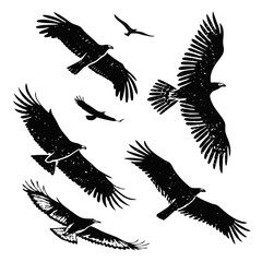 A collection of black silhouette eagles and birds in flight against a white background rendered in a textured distressed style