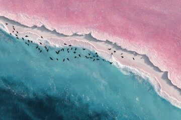 Fototapeta premium Aerial view of a pink salt lake with birds