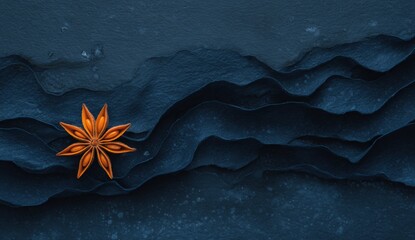 Dark, textured, abstract background with star anise