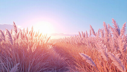 Golden Sunrise Over Tall Grass Meadow