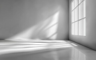Empty room with sunlit corner window