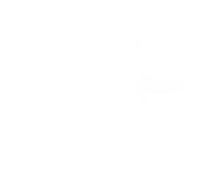 A dynamic white burst shape on a black background, creating a bold visual impact. light effect.