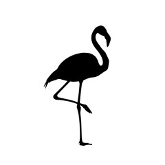 Silhouette of a standing flamingo, a single black siluet on a white background, minimalist design