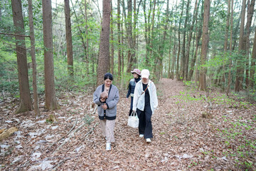 Fototapeta premium Three women are walking through a forest, one of them holding a baby. The atmosphere is calm and tranquil, with the sound of leaves crunching underfoot