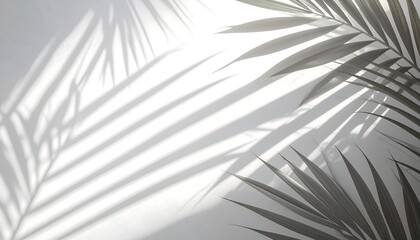 Fototapeta premium Palm shadows on wall