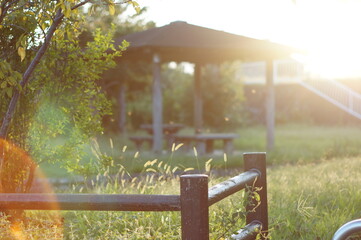 夏の終わりの風景