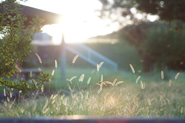 夏の終わりの風景