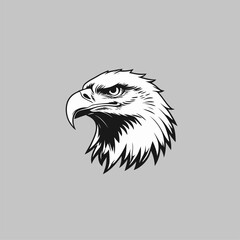 Obraz premium vector head of an eagle