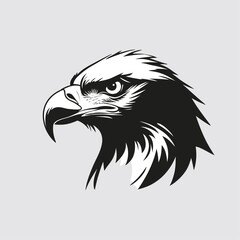 vector head of an eagle