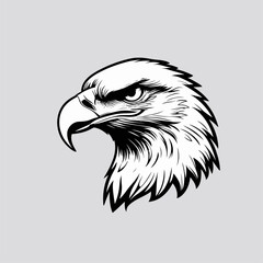vector head of an eagle