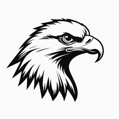 vector head of an eagle