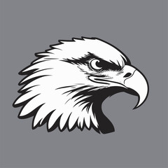 Obraz premium vector head of an eagle