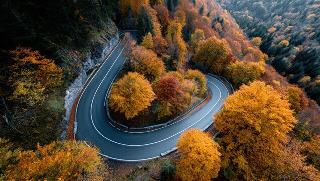 Winding mountain road in autumn foliage - Powered by Adobe