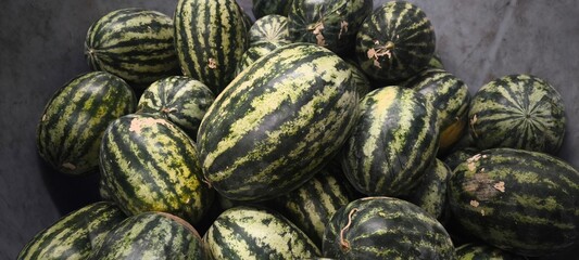 THe Green Watermelon Natural Fruit