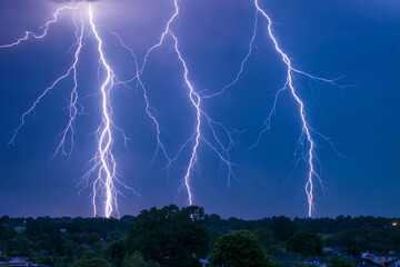 Multiple bright lightning strikes illuminate dark blue night sky over trees thunderstorm storm