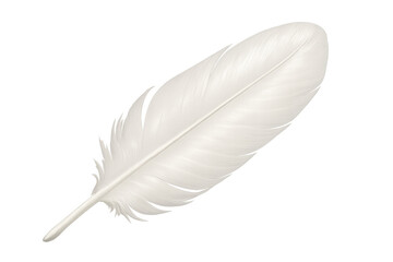 Obraz premium Delicate white feather drifting softly, casting subtle shadow on pristine transparent surface, highlighting minimalist design aesthetic