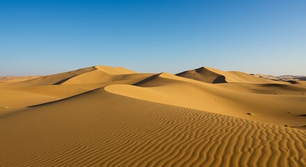 Golden Sands A Sunny Desert Landscape of Rippling Dunes Under a Clear Blue Sky