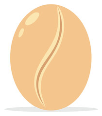 Illustration of a single coffee bean with a curved seam and highlights on a light background