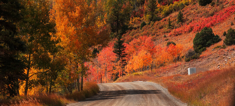 Panoramic view of scenic drive in San Juan Mountains Colorado with colorful autumn trees evening sun lit.