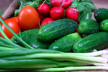 Fresh vegetables radish cucumber tomatoes